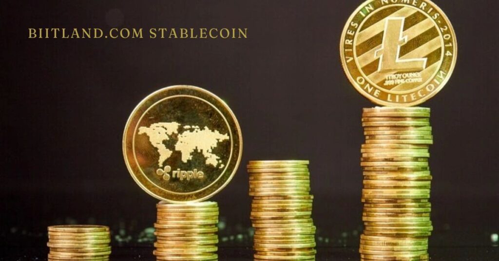 What Are Biitland.com Stablecoins?